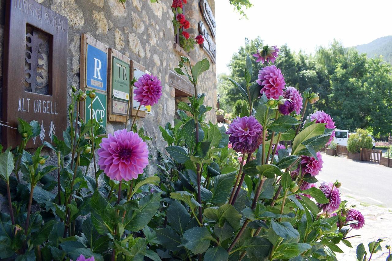 Casa Rural Moli De Fornols Hotel Bagian luar foto