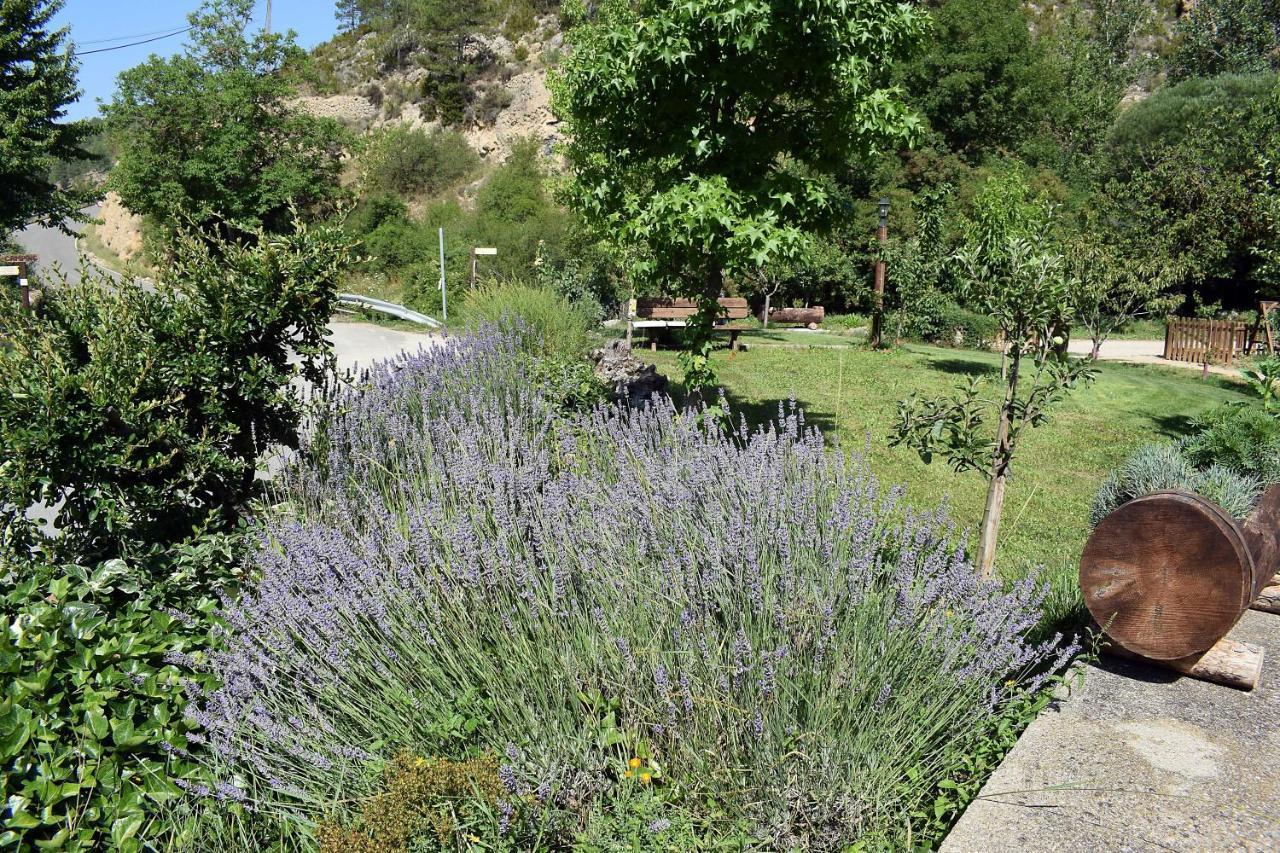 Casa Rural Moli De Fornols Hotel Bagian luar foto