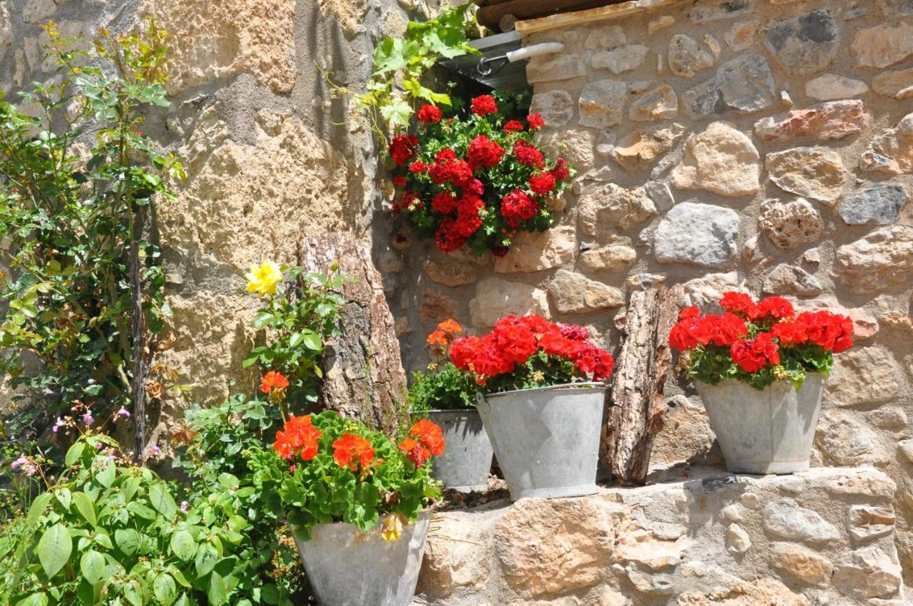 Casa Rural Moli De Fornols Hotel Bagian luar foto